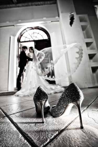 イメージギャラリー