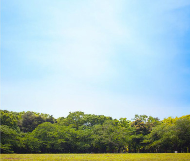 代々木公園